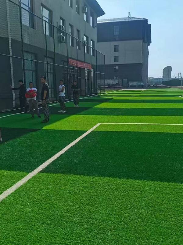 7人制サッカーのピッチに大勢の観客