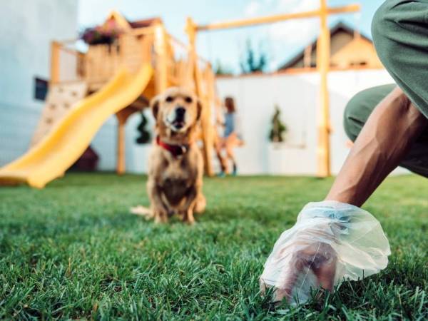 A man is picking up dog's poop on the artificial grass.