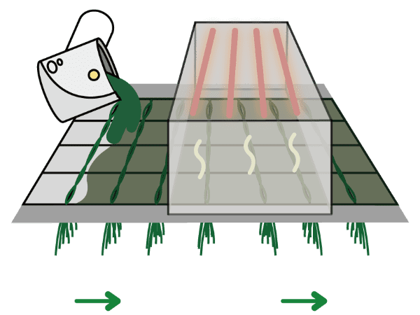 Artificial grass coating & drying process