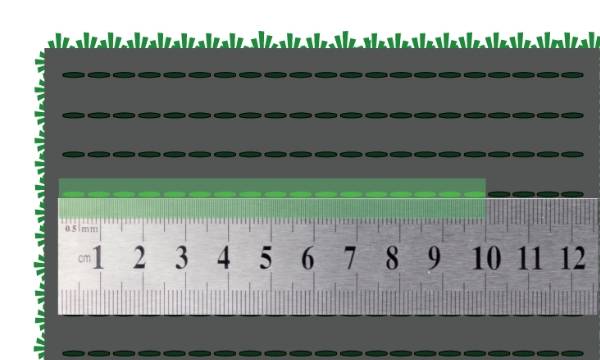 Use a ruler to mark out the stitch rate of artificial grass in 10 cm.