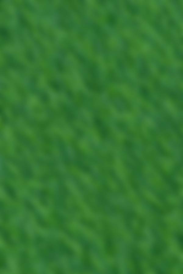 Artificial grass