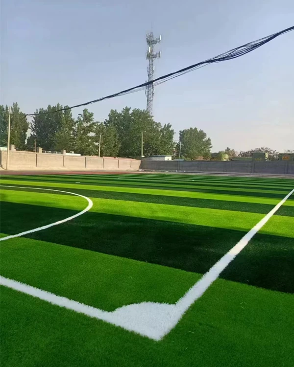 Le gazon artificiel a été installé sur le terrain de football du collège de Dongfang