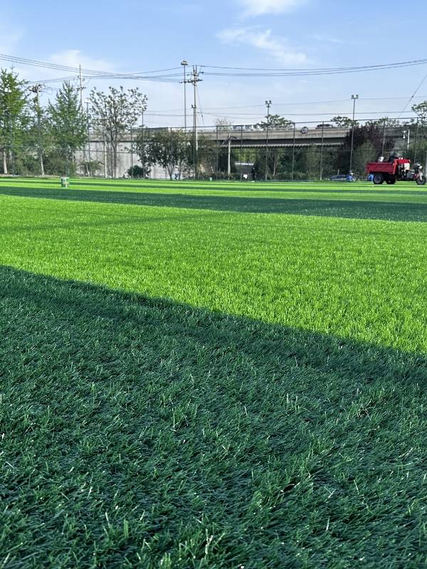 Environmentally friendly artificial grass in soccer field