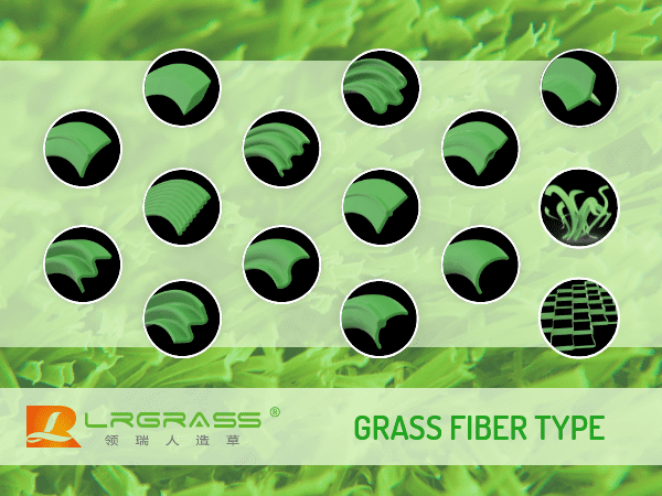 Different grass fiber types