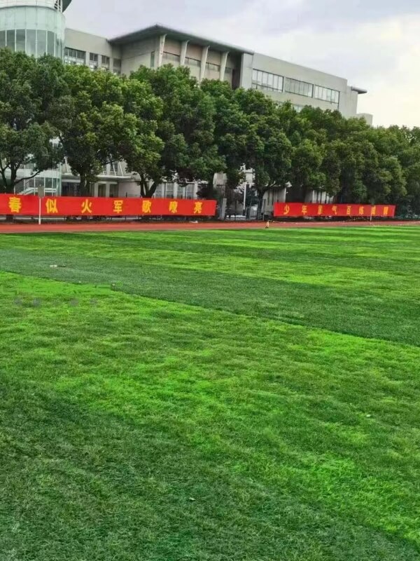 Hybrid grass turf for playground in school