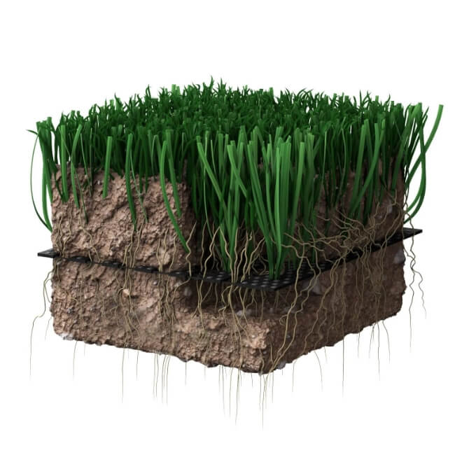Hybrid grass is embedded in the soil.