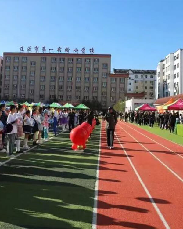 Multifunctional artificial grass for Liaoyuan 1st Experimental Primary School in China