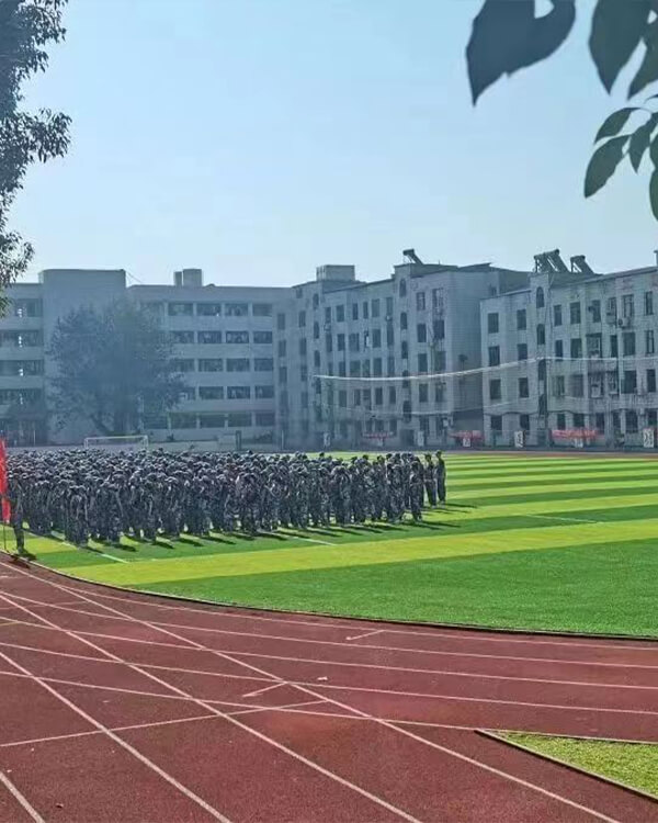 Césped artificial para el campo de fútbol de la escuela secundaria de Li Shizhen en China