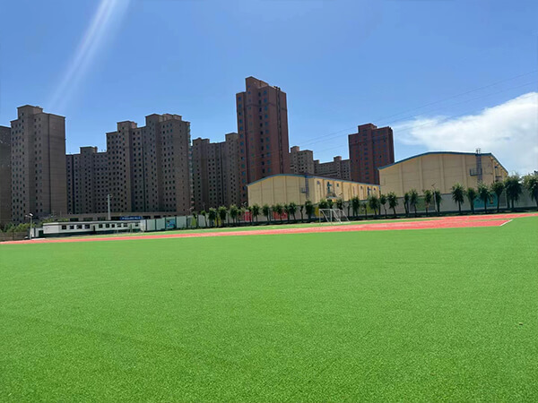 Artificial grass football field in front of tall buildings