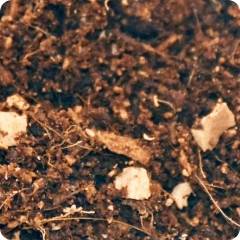 A pile of organic infill