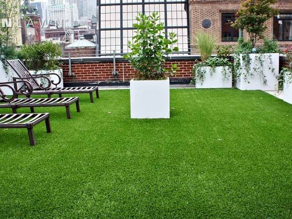 Landscape turf
