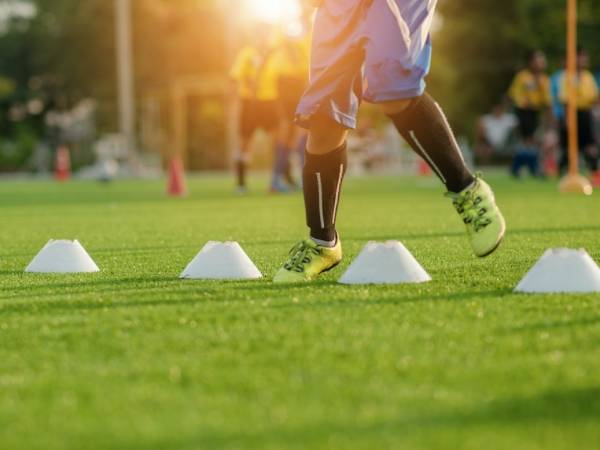 Sports turf