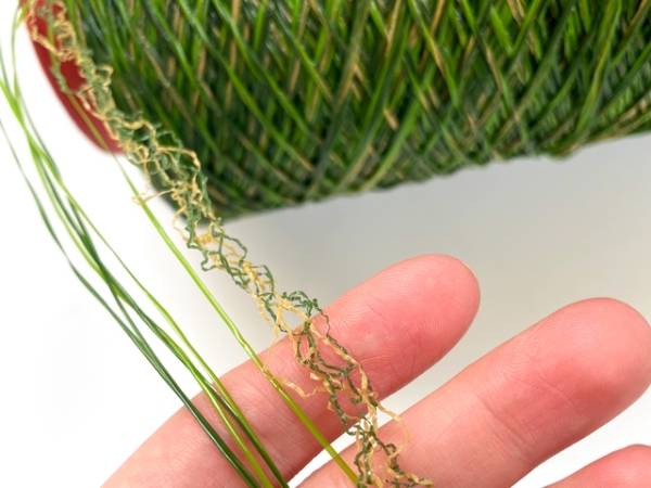 ATY production process is used to produce artificial grass thatch